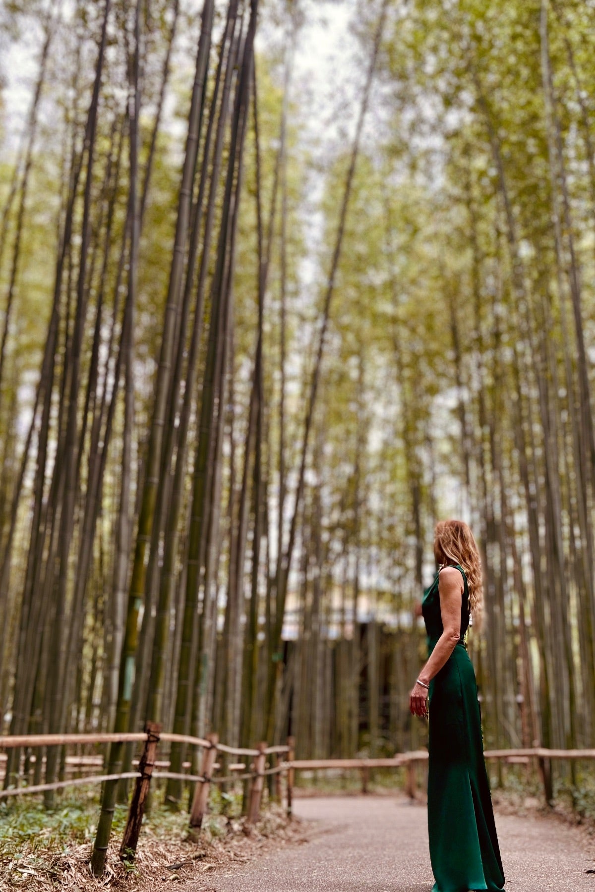 Emerald Green Crepe Dress